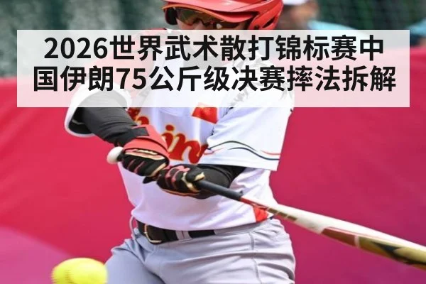 2026世界武术散打锦标赛中国伊朗75公斤级决赛摔法拆解